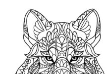 zentangle lynx head coloring book to print