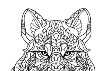 livre à colorier zentangle tête de lynx à imprimer