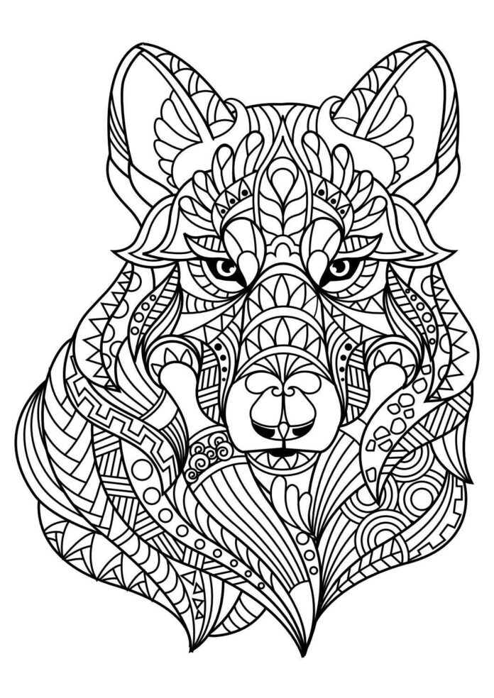 livre à colorier zentangle tête de lynx à imprimer