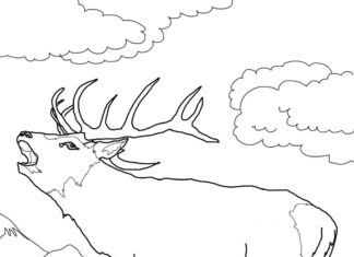 轟音の鹿の塗り絵オンライン