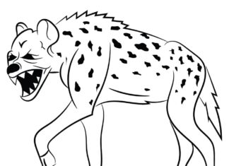 livre de coloriage imprimable sur la hyène tachetée