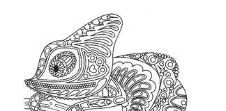 Chameleon with details coloring book online