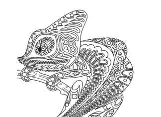 Chameleon with details coloring book online