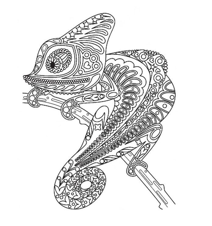 Kameleontti yksityiskohdilla värityskirja verkossa
