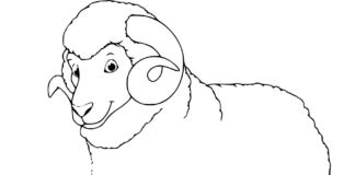 ram in the meadow coloring book to print