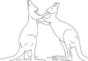 kangaroo battle coloring book printable