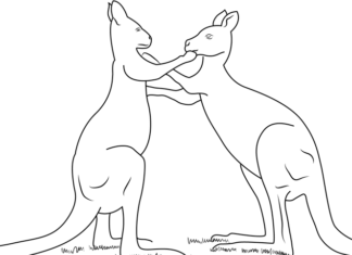 Känguru-Kampf-Malbuch zum Ausdrucken