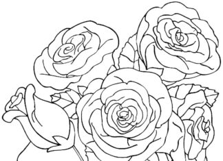 Pittura - bouquet di fiori da colorare stampabile