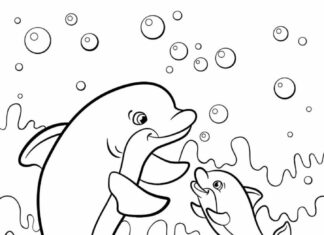 Delfíni hrající si pod vodou omalovánky k tisku