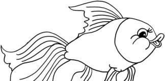 gold fish - coloring book to print