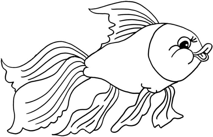 guldfisk - guldfisk som kan skrivas ut och färgläggas