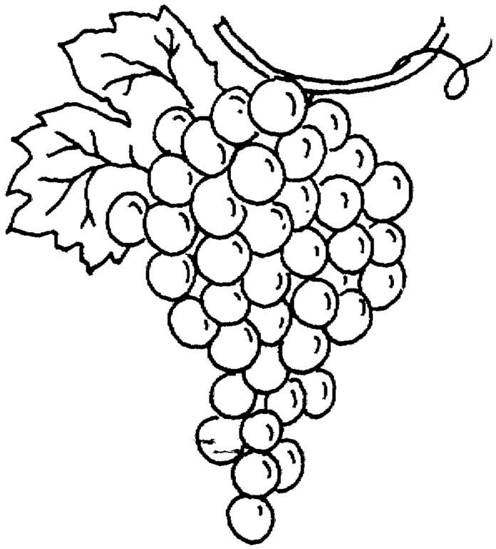 bunch of fruit for nap coloring book online
