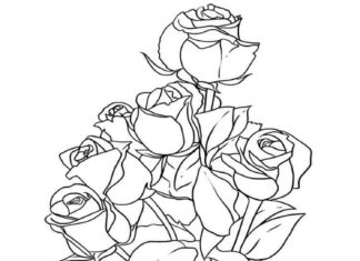 Färbung Blumenstrauß aus Rosenblüten zum online drucken