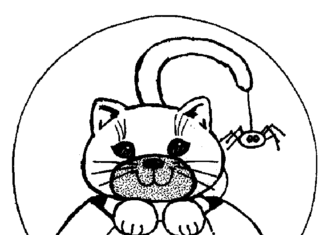 página para colorir abóbora e gato halolino imprimível para crianças
