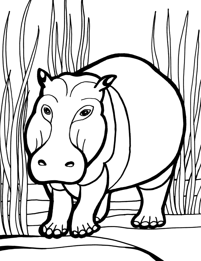 hipopótamo colorido para crianças na grama imprimível