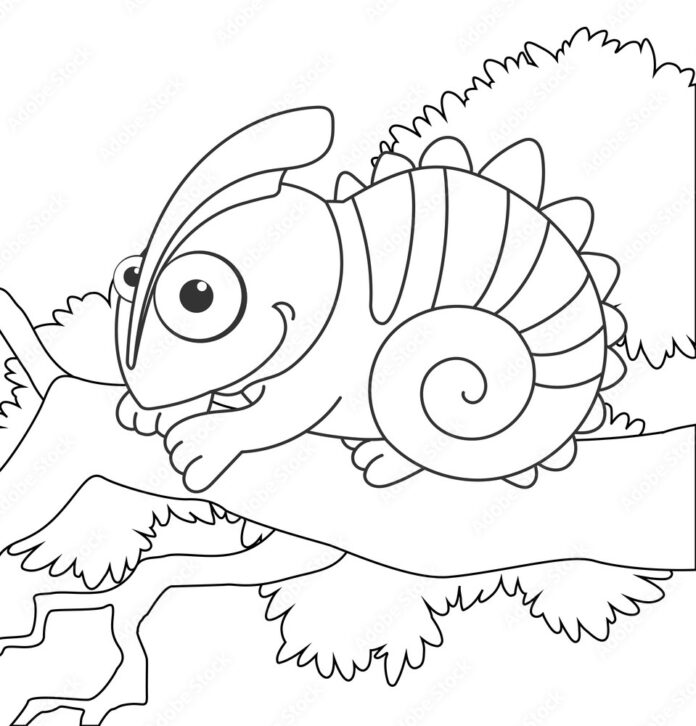 coloring book chameleon printable tree lizard for kids