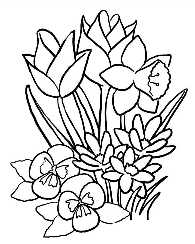 kolorowanka kwiatki wiosenne do druku dla dzieci online