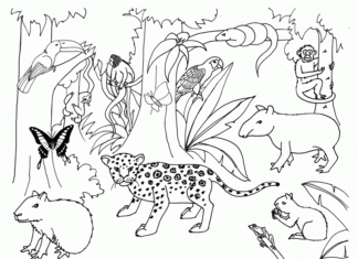 Jungle Coloring Pages to print and print online