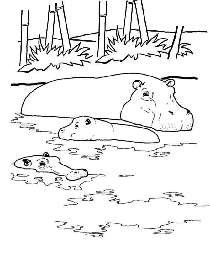 página de coloração nadando na água por hipopótamos imprimíveis para crianças