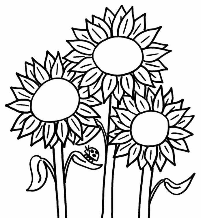 Färbung Seite Sonnenblumen mit Marienkäfer druckbar für Kinder
