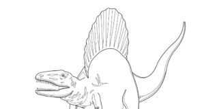 coloring page spinosaurus printable dinosaur
