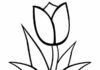tulipas para colorir imprimíveis para crianças