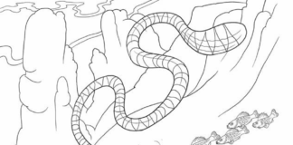 coloring book sea snakes printable for kids online