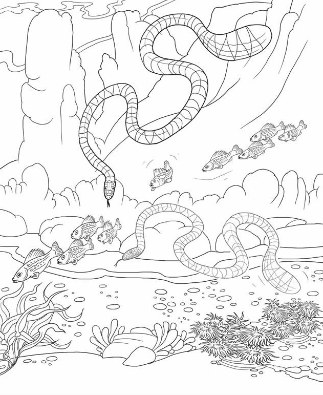 libro da colorare serpenti di mare stampabile per i bambini online