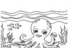 Chobotnice k vytisknutí, omalovánky pro děti a online