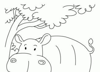 coloring book animal from africa printable for kids