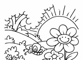 pagine da colorare fiori nel prato da stampare per i bambini