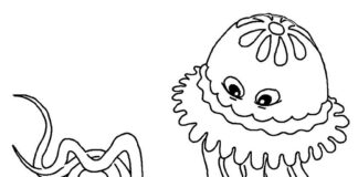 Lapsille - värityskirja yksinkertainen meduusa lapsille tulostettavaksi