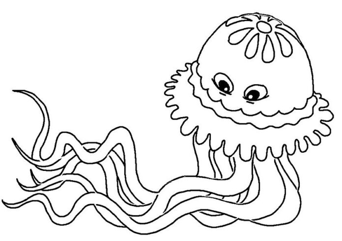 Per i bambini - semplici meduse colorate da stampare