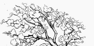 Malowanka online - kwitnące kwiaty kolorowanka drzewo