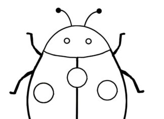 forest ladybug coloring book online