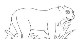 lion in the meadow coloring book to print
