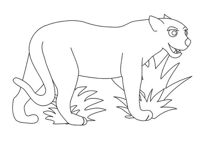 草原のライオン 印刷用塗り絵
