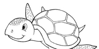 korytnačka na vytlačenie - omaľovánky pre deti