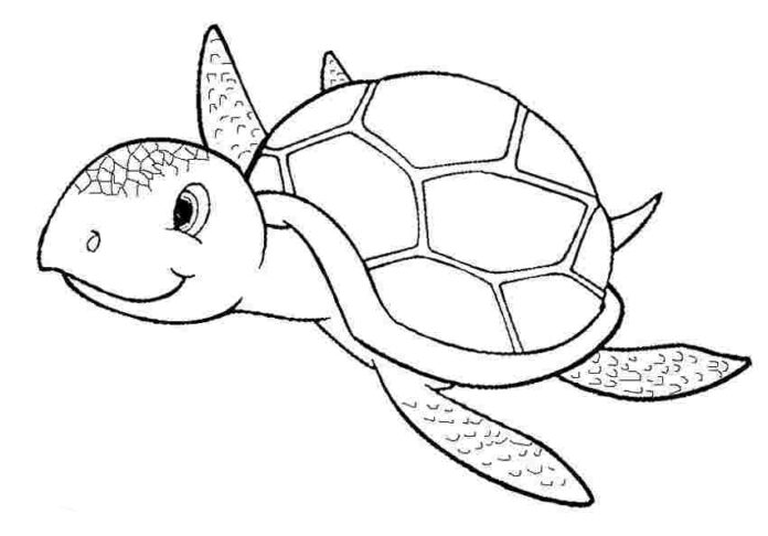 lilla sköldpaddan - en färgbok för barn som kan skrivas ut