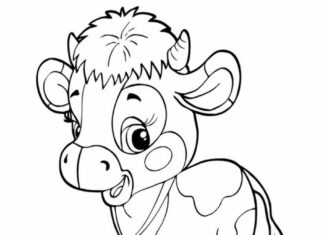 giovane mucca giovenca da colorare pagina stampabile