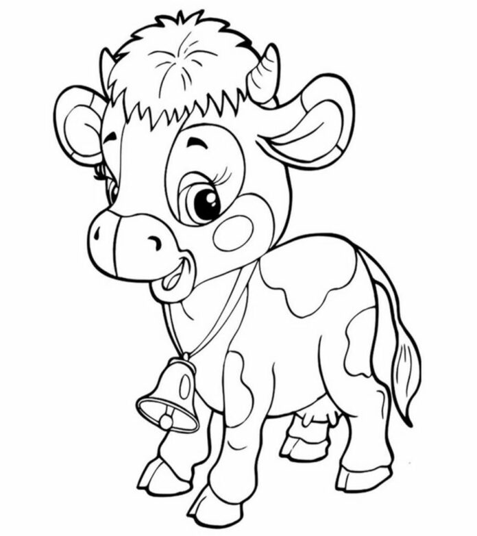 Mladá krava jalovica omaľovánky na vytlačenie