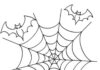 spider with web for hallowen coloring book for kids