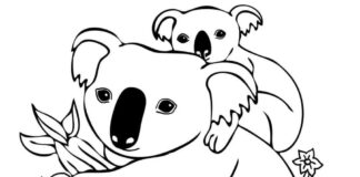 livro colorido da família dos ursos de pelúcia para imprimir