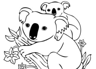 Omaľovánky pre medvediu rodinu na vytlačenie