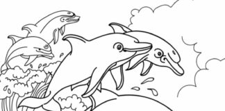 Delfinfamiljen målarbok online