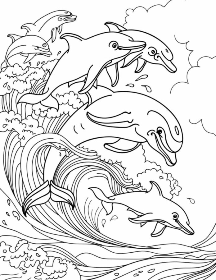 livre de coloriage en ligne sur la famille des dauphins