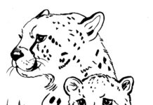 tiger family coloring book online
