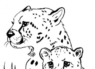tigre famiglia libro da colorare on-line