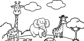 állatkerti állatok online színezőkönyv