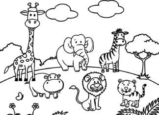 zoo animals coloring book online